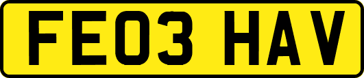 FE03HAV