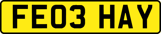 FE03HAY