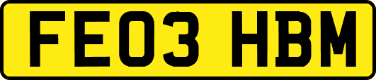 FE03HBM
