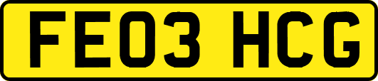 FE03HCG