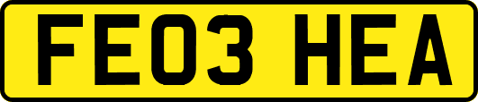 FE03HEA