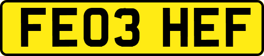 FE03HEF