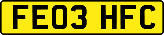 FE03HFC