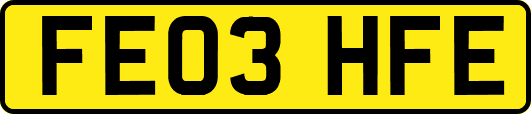 FE03HFE