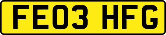 FE03HFG