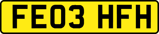 FE03HFH