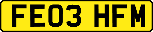 FE03HFM
