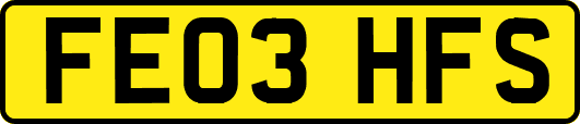 FE03HFS