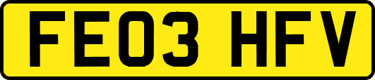 FE03HFV
