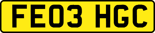 FE03HGC