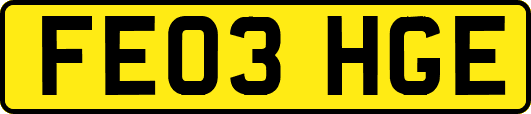 FE03HGE