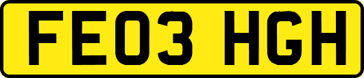 FE03HGH