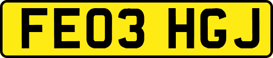 FE03HGJ