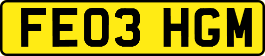FE03HGM