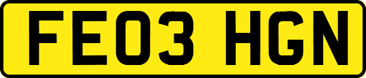 FE03HGN