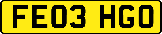 FE03HGO