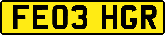 FE03HGR