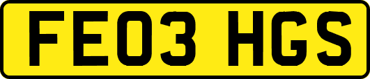 FE03HGS