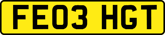 FE03HGT