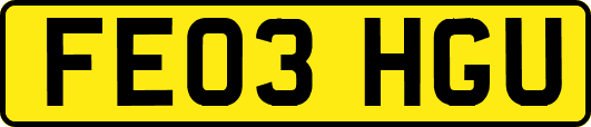 FE03HGU