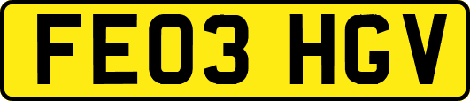 FE03HGV