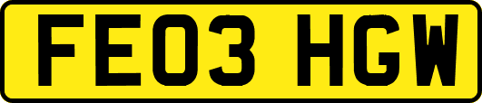 FE03HGW