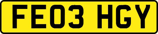 FE03HGY
