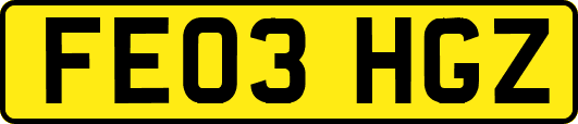FE03HGZ