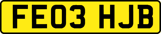 FE03HJB