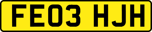 FE03HJH