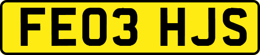 FE03HJS