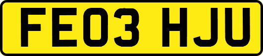 FE03HJU