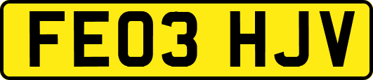 FE03HJV