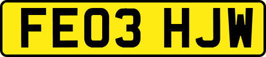 FE03HJW