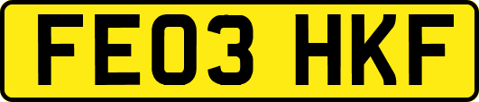 FE03HKF