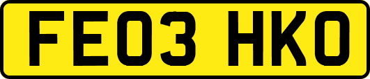 FE03HKO