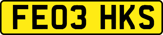 FE03HKS