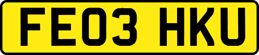 FE03HKU