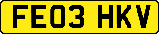FE03HKV