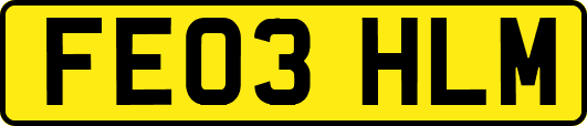 FE03HLM