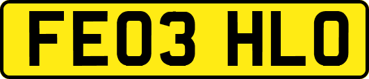 FE03HLO