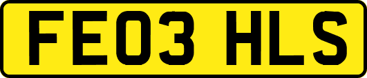 FE03HLS