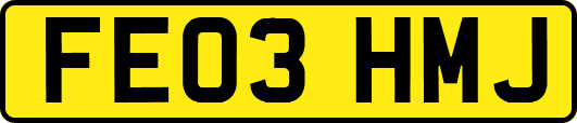 FE03HMJ
