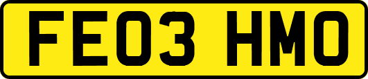FE03HMO