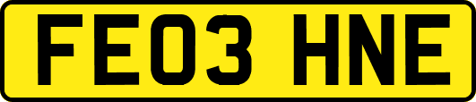 FE03HNE