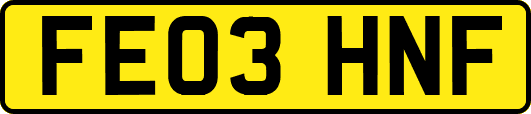 FE03HNF