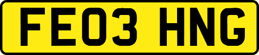 FE03HNG