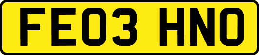 FE03HNO