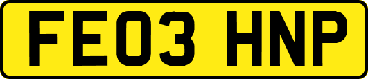 FE03HNP