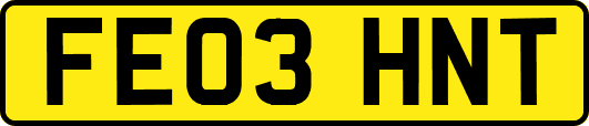 FE03HNT